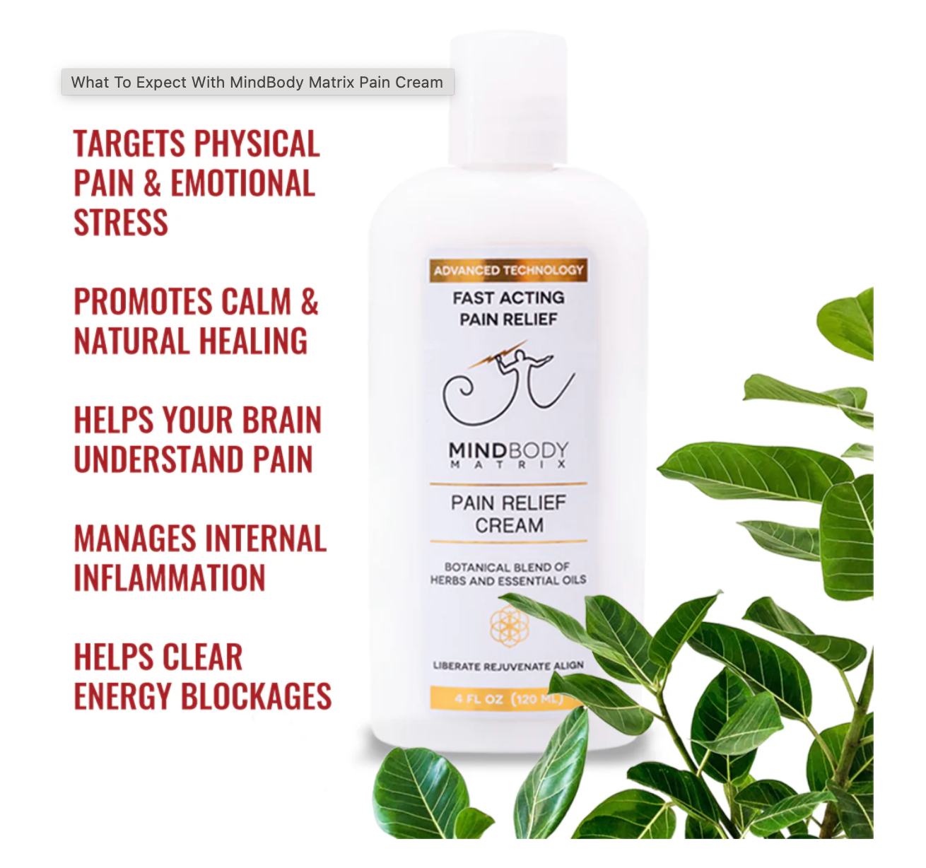 Fast Acting Pain Relief Cream 1 oz